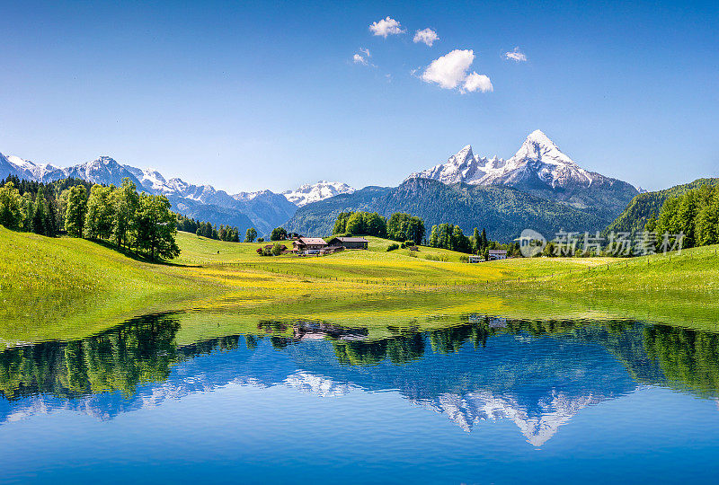在阿尔卑斯山的山湖田园般的夏季景观