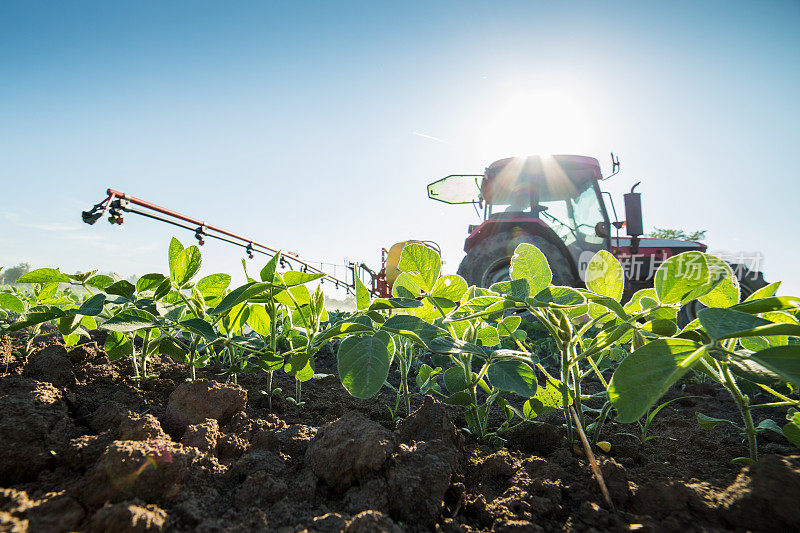 拖拉机向大豆作物喷洒杀虫剂和除草剂