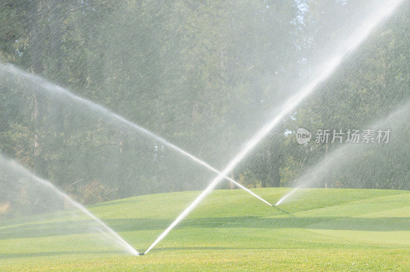 清晨，洒水器在高尔夫球场洒水