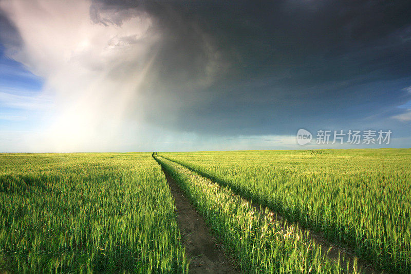 中西部大草原戏剧性的雷雨