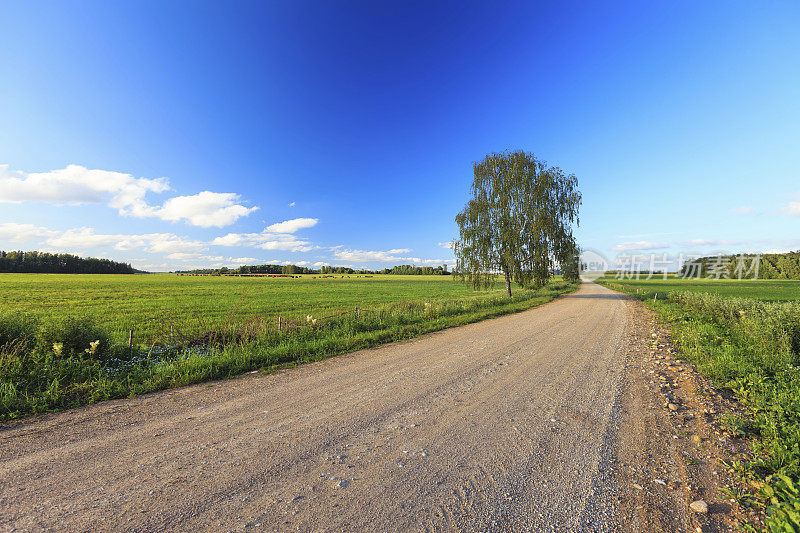 农村道路