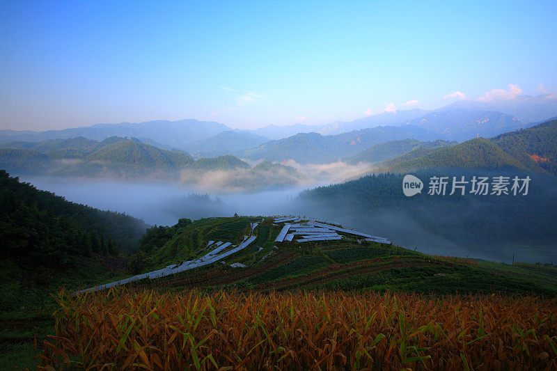 龙脊梯田日出