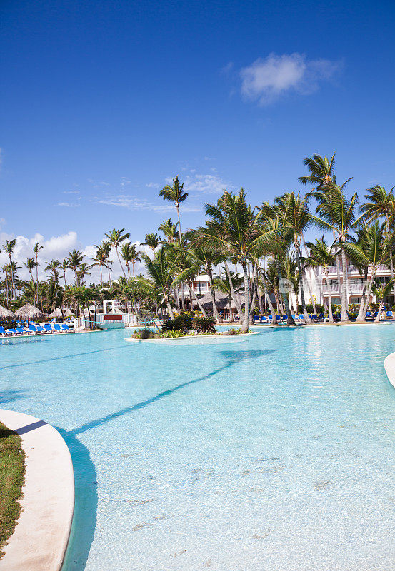 棕榈树和游泳池在度假村