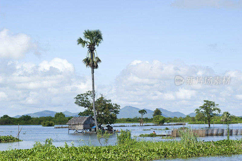 柬埔寨洞里萨湖一个水上村庄里的棚屋