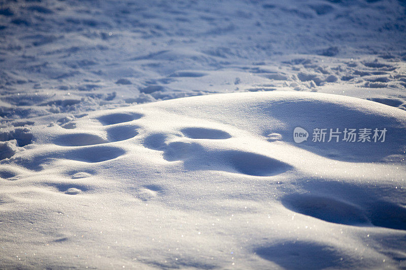 冬季风景，漂移的印花