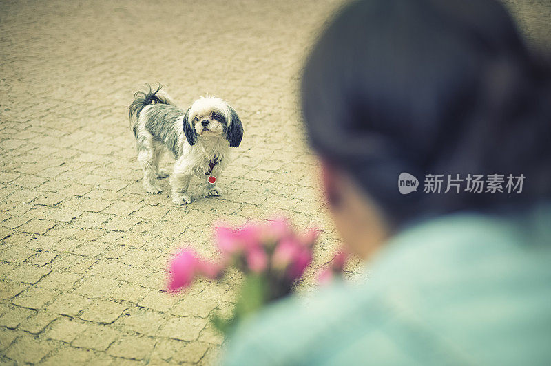 一个女人在叫她的小狗