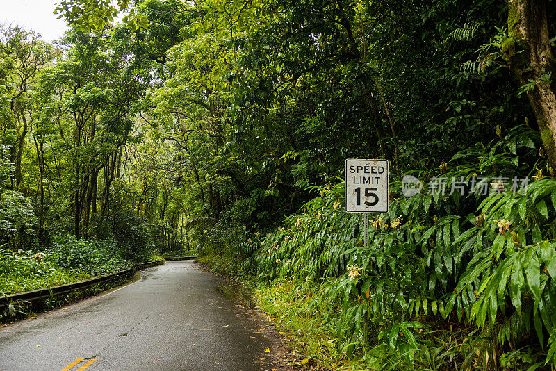 通往夏威夷毛伊岛哈纳岛的公路