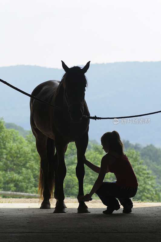 年轻女子梳理马剪影，夏季背景