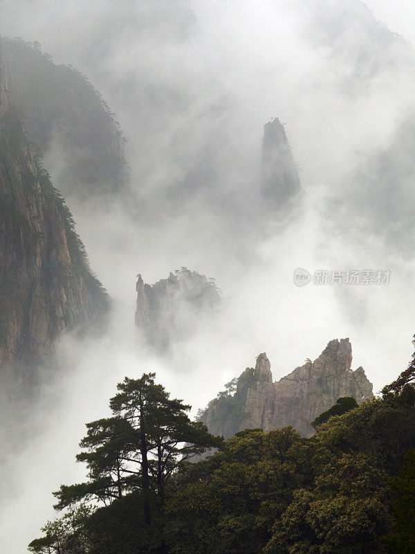 春雨过后的黄山