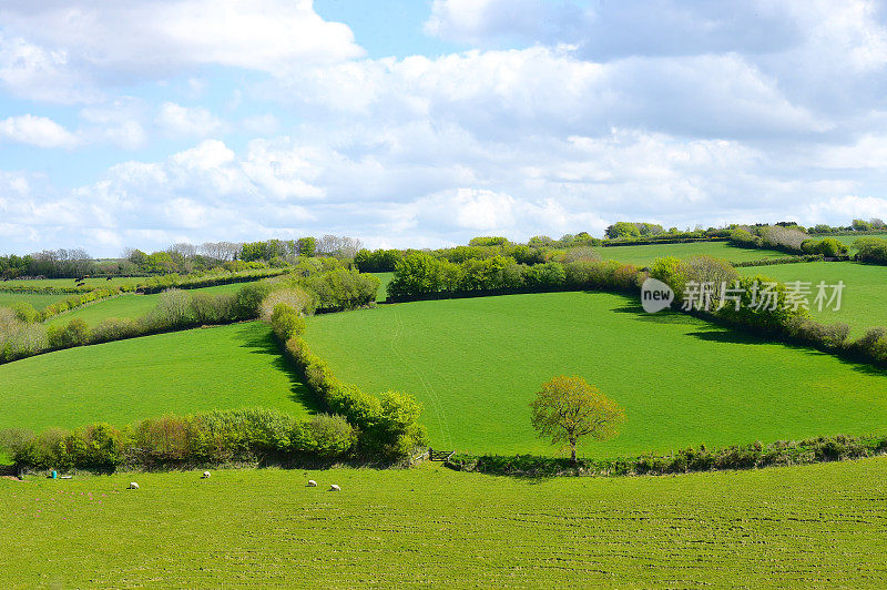 英国的风景