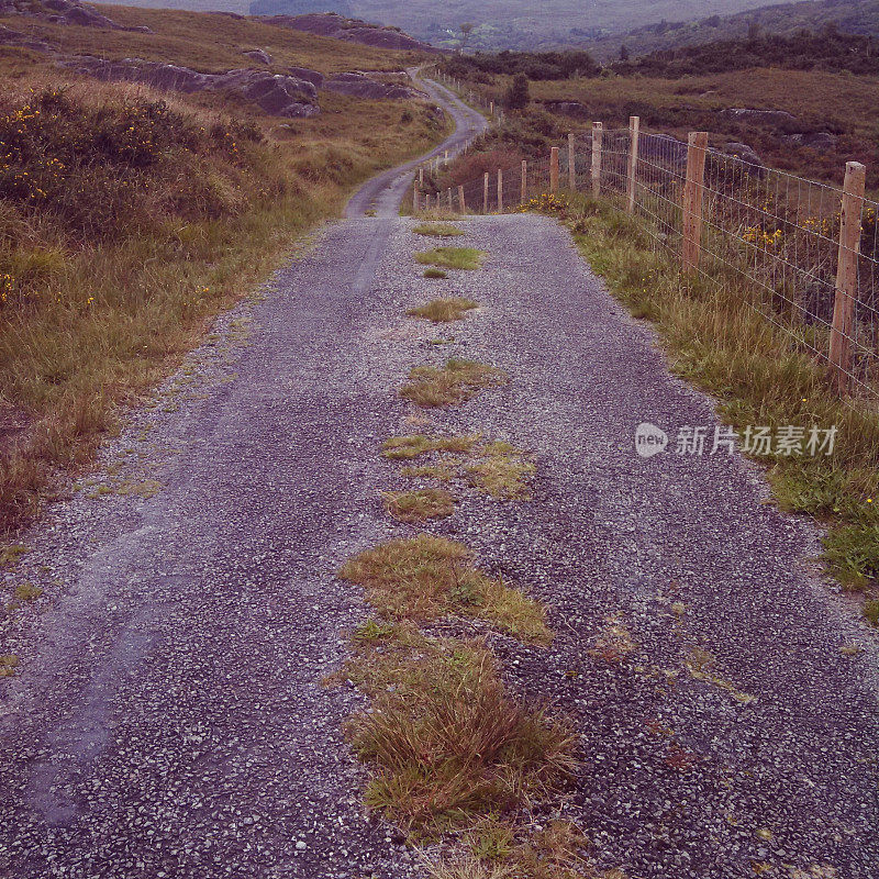 爱尔兰蜿蜒的乡村公路