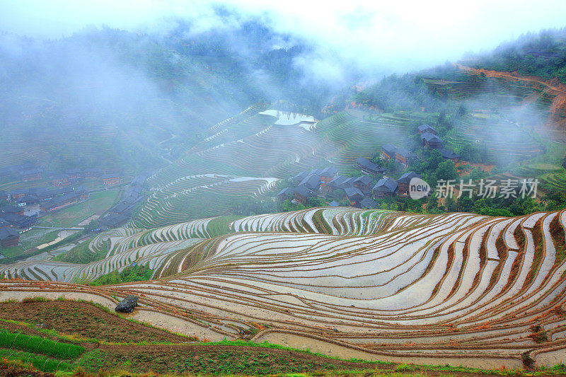 隆基梯田