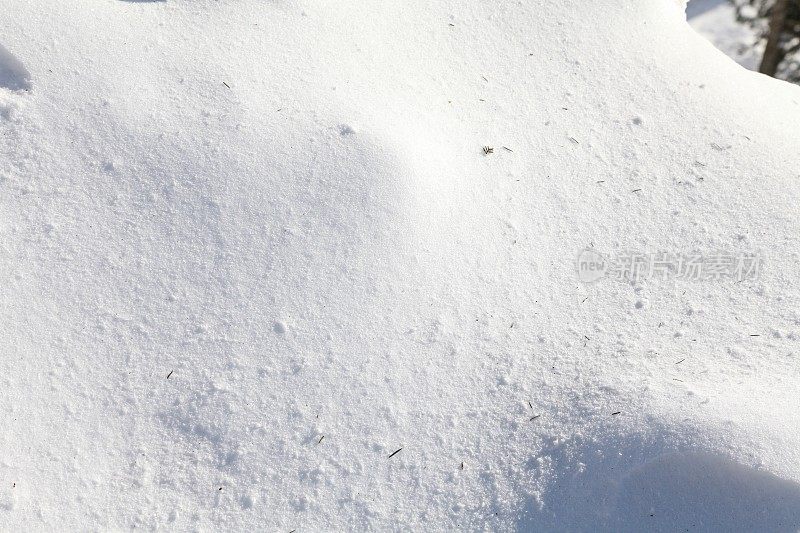 以雪为背景的冬季景观