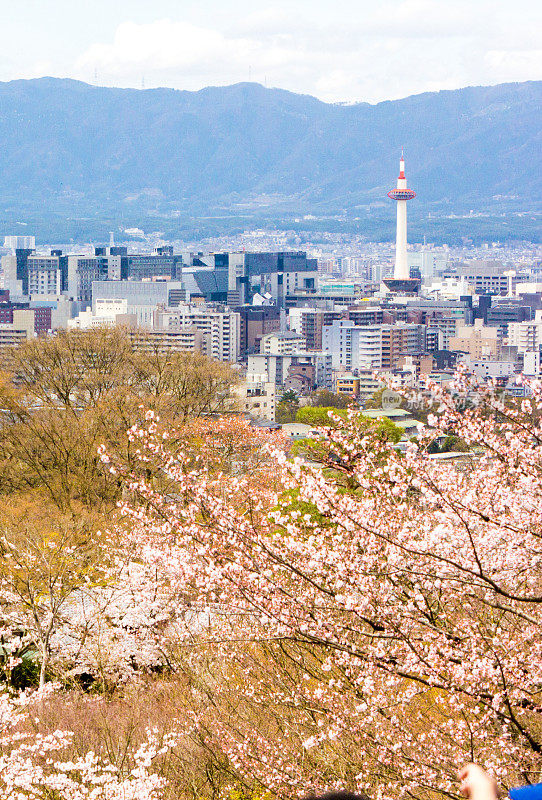 日本本州的京都塔