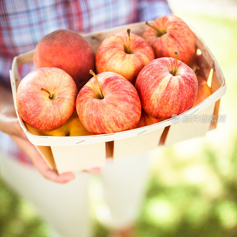在秋天拿着一篮苹果