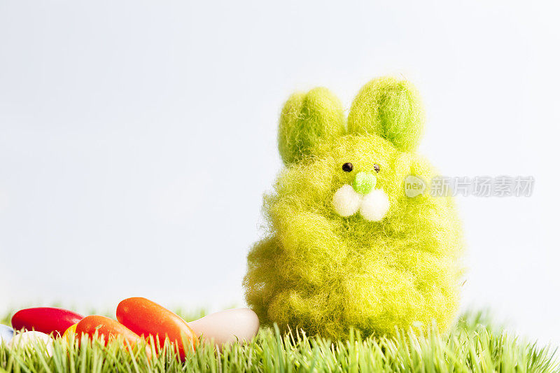复活节兔子和糖果蛋在草地上