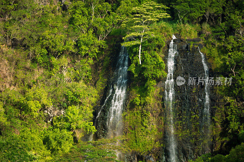 奥佩卡瀑布在夏威夷考艾岛