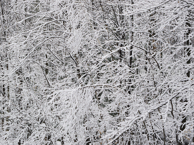 4月的降雪