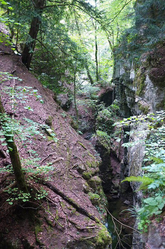 阿雷泽峡谷和瑞士汝拉河