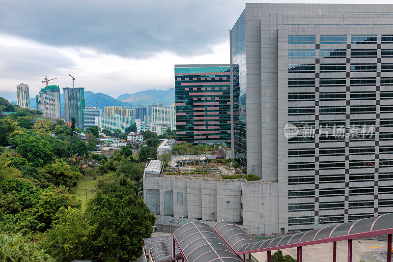 沙田，树木，摩天大楼，山，香港，中国