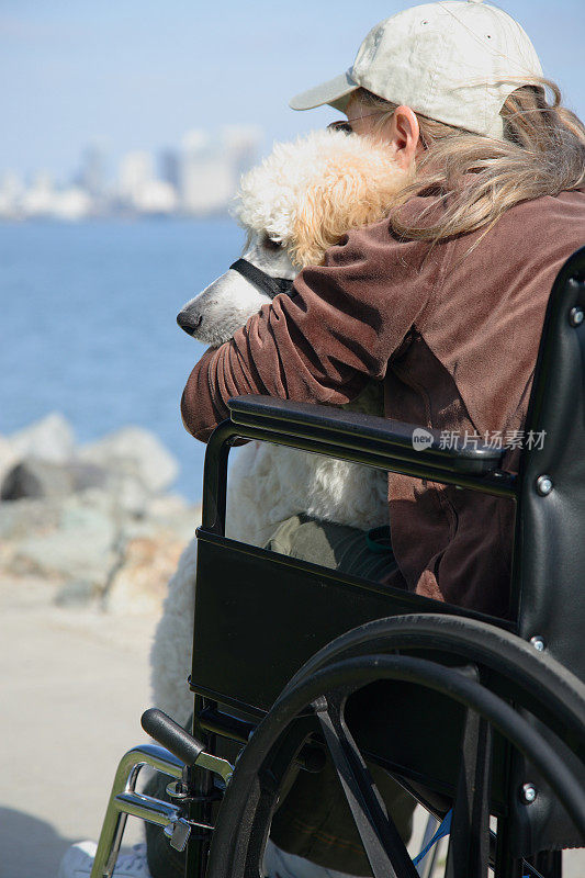 陪伴狗女人在轮椅图片