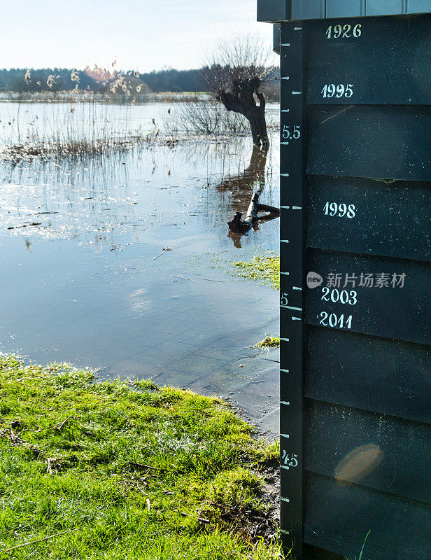 ijssel河上有洪水标志的小屋