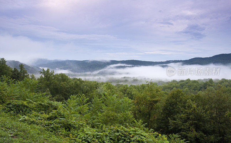 山景观