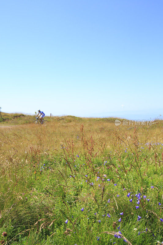 山景风景风景山景与野花高山草甸