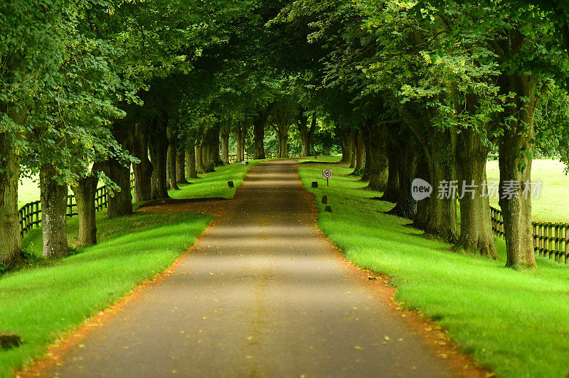 英国的风景