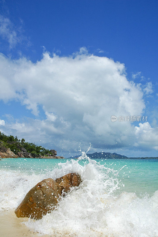 在海滩上摇摆和波浪