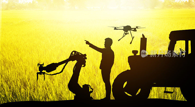 智能农场农业精准技术理念。农民剪影，自动化机器人手臂机，无人机无人机，拖拉机卡车和稻田背景。闪光效果。