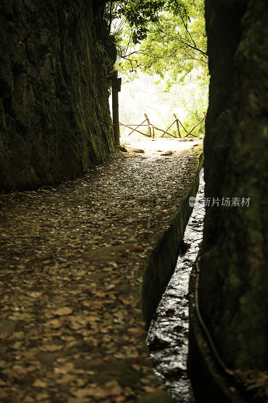 在马德拉岛徒步旅行