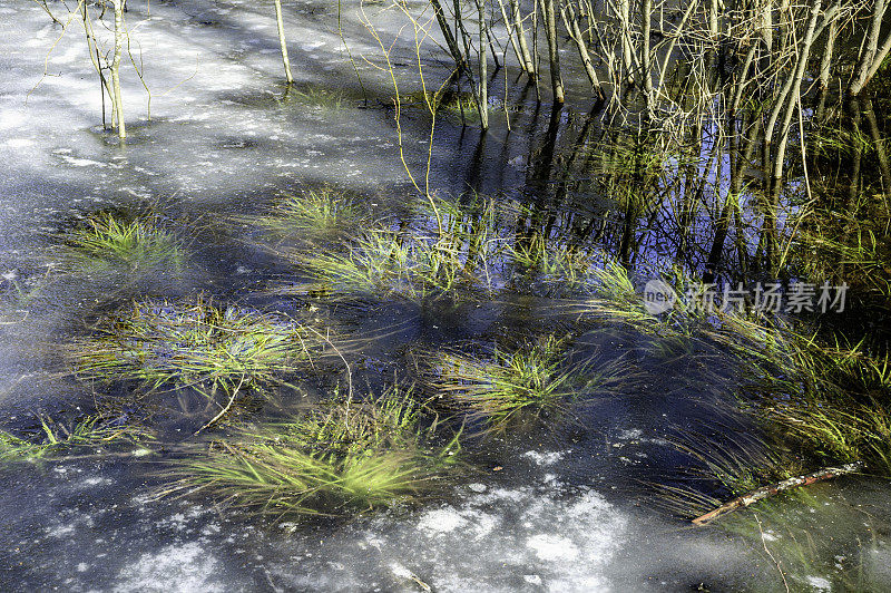 池塘里的冰在春天融化