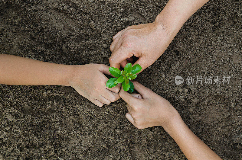 成长概念生态集团三手儿童一起种植