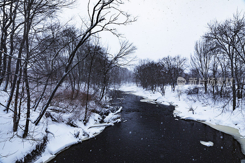 下雪天，一条几乎结冰的河流蜿蜒穿过森林