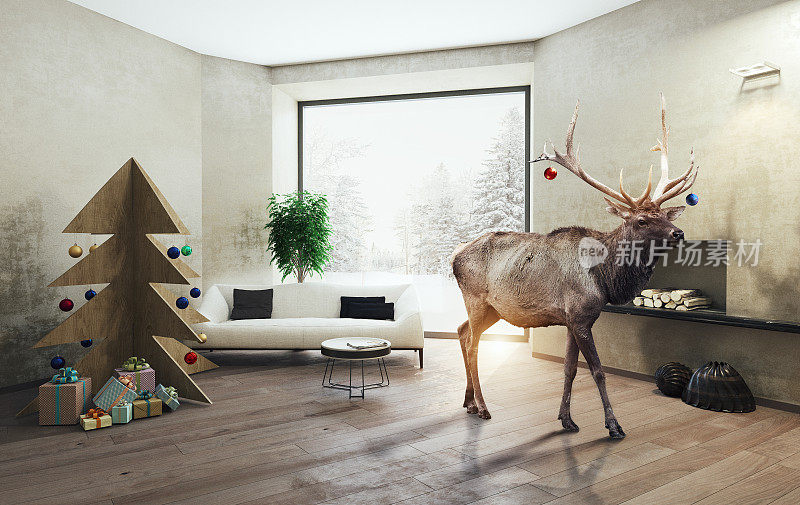 室内用胶合板圣诞树和鹿