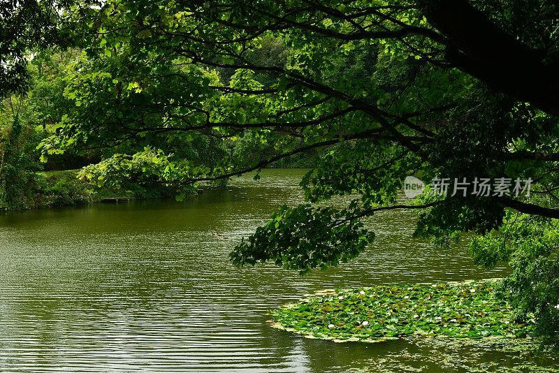 钓鱼湖，泽西岛，英国