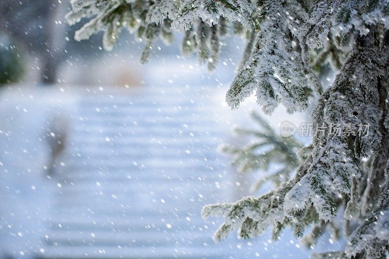 圣诞节的背景是冬天下雪