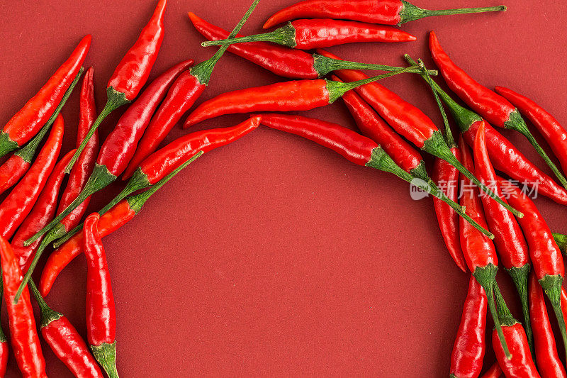 红辣椒，流行的香料概念-彩色半圆的静物组成由红辣椒豆荚在红色背景，俯视图，平铺，自由的文字空间