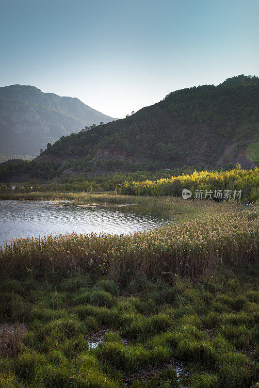 湖景