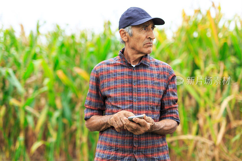 成熟的农民在田间使用智能手机