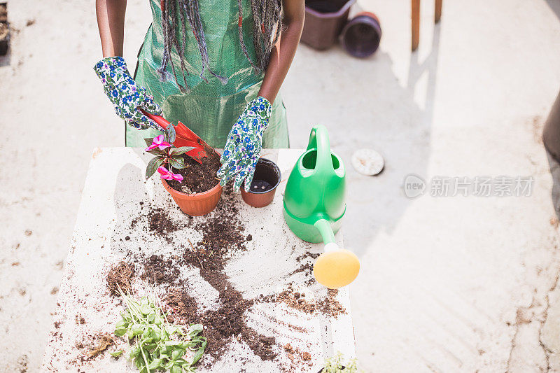 Re-Potting。年轻女子在花园里盆栽植物