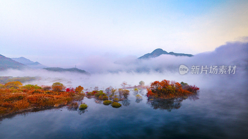 美丽的景观水花园VD718