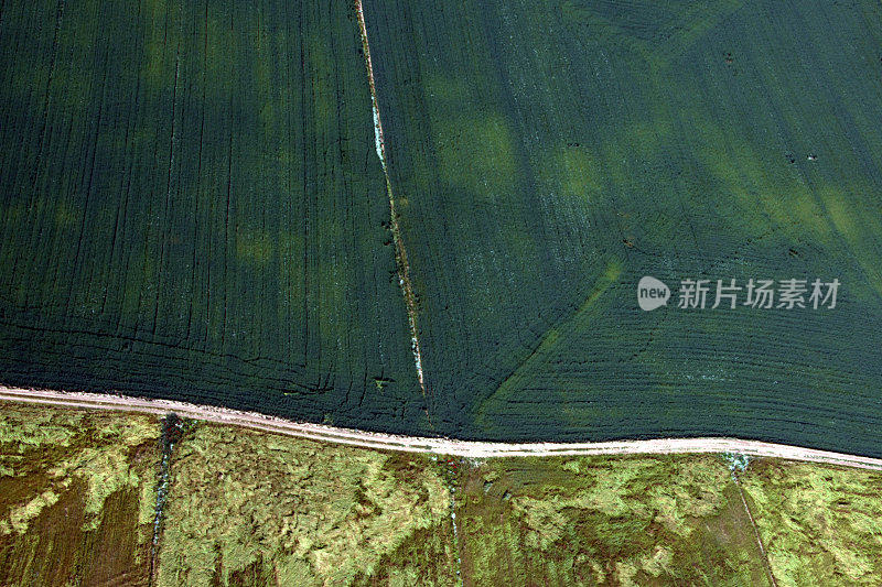 从直升机上看几何种植园