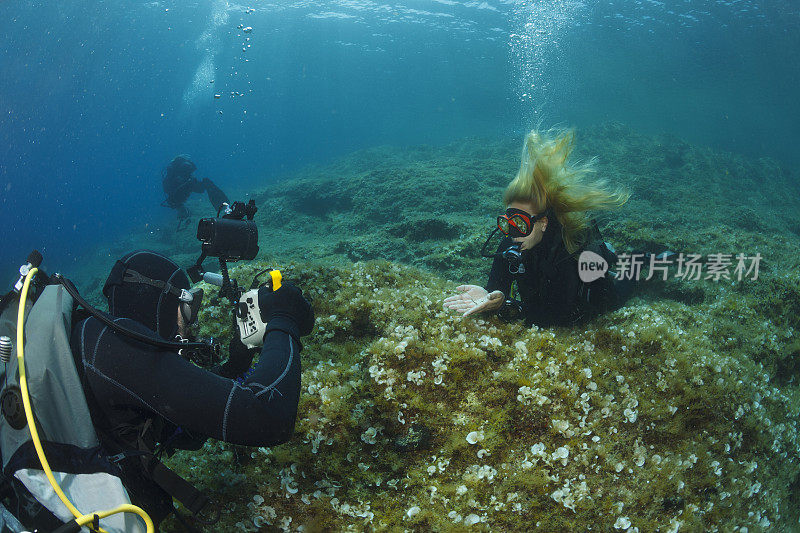 水下情侣，水下摄影师拍照-肖像水肺潜水海洋生命水上运动水肺潜水员的观点