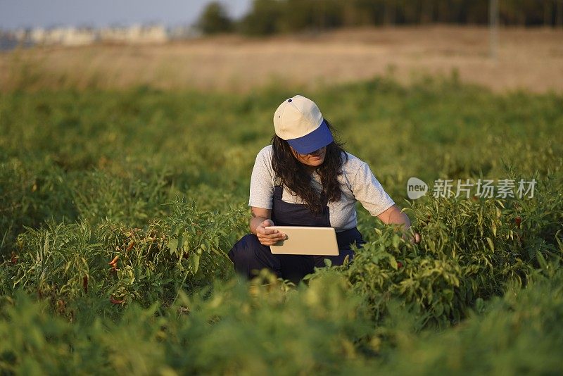 年轻女性农民与数字平板电脑