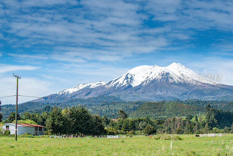 从225号公路上看卡尔布科火山