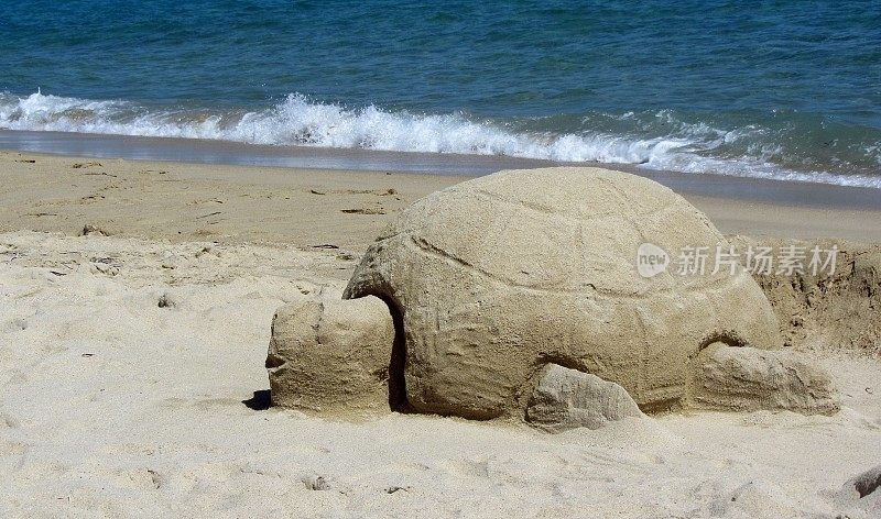沙滩上的沙龟雕塑v2