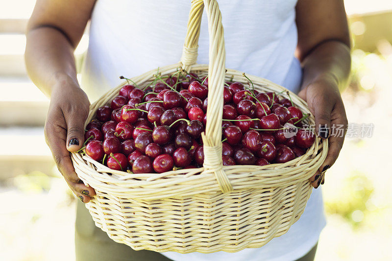 美国黑人妇女的手拿着装满樱桃的篮子