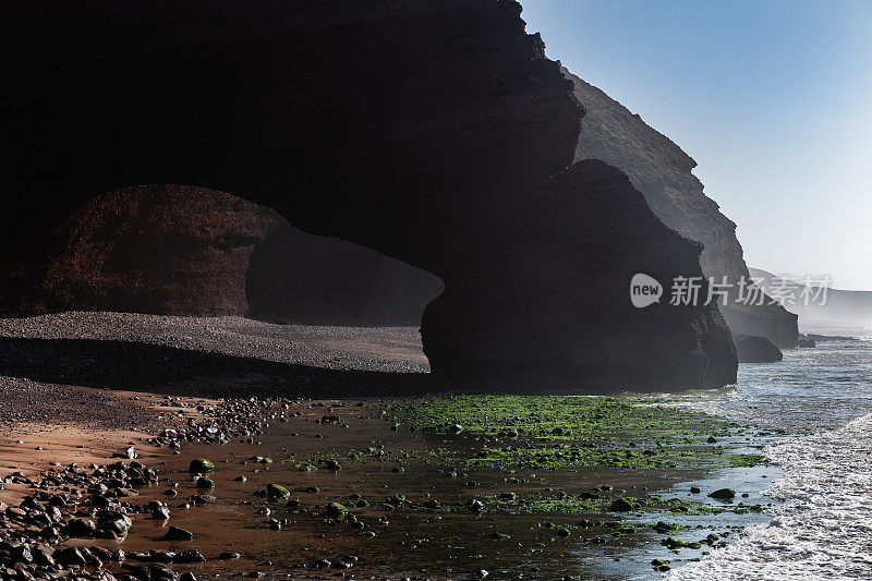 骆驼脚，摩洛哥，北非